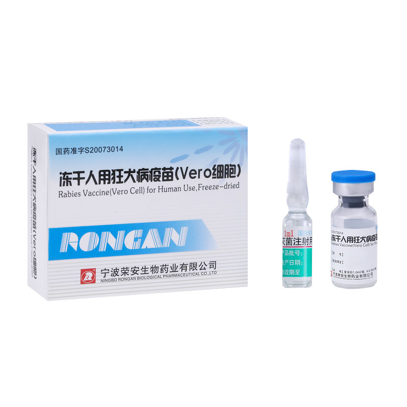 Warum ist eine Impfung gegen Tollwut nach einem Biss überlebenswichtig?