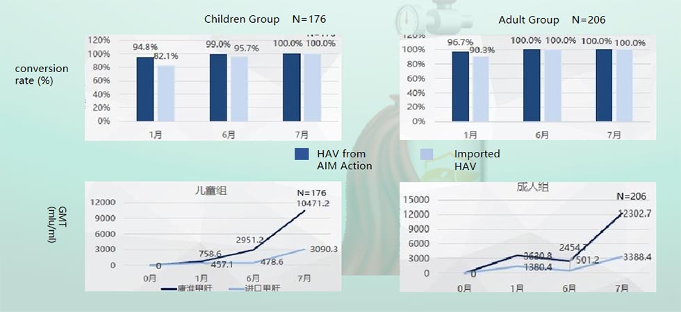 Anti-Hepatitis A Virus Vaccine