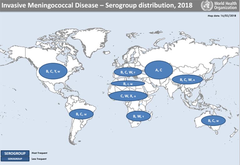 Vaccines for More Meningococcal Serotypes