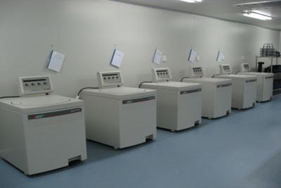 Meningococcal Polysaccharide Vaccine